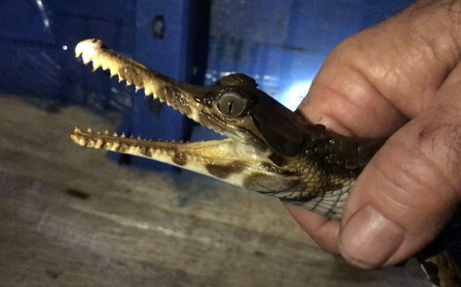 90BCFBFB-EFC1-48DD-8613-B0618A1AE0A0